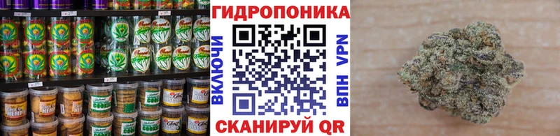 KRAKEN tor  купить наркотик  Шацк  Canna-Cookies конопля 