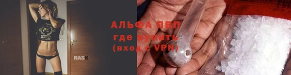 индика Армянск