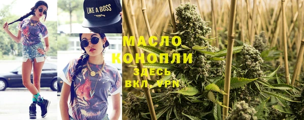 индика Армянск