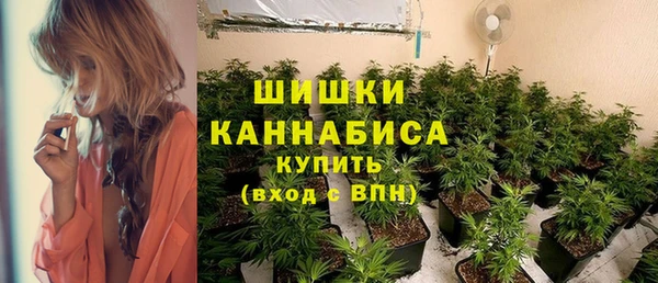прущие грибы Арсеньев