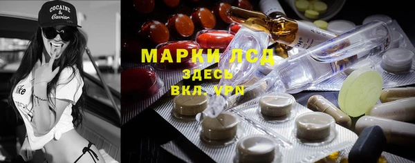 индика Армянск