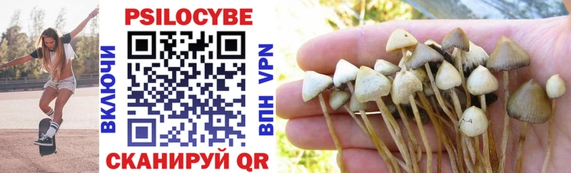 Галлюциногенные грибы Cubensis  где найти наркотики  сайты даркнета состав  Шацк 