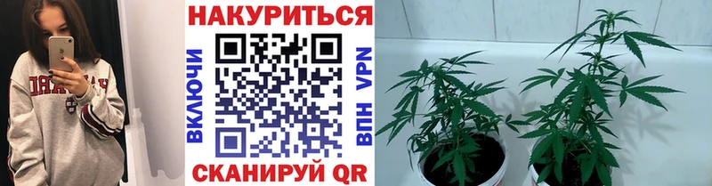 Бошки марихуана план  Шацк 